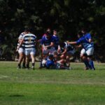 DSC09574_redimensionar