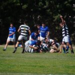 DSC09580_redimensionar
