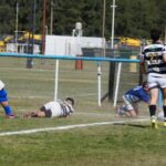 DSC09595_redimensionar