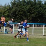 DSC09603_redimensionar