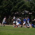 DSC09617_redimensionar