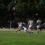 DSC09668_redimensionar