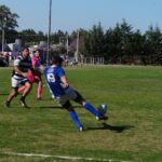 DSC09695_redimensionar