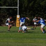 DSC09736_redimensionar