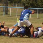 DSC01456_redimensionar