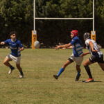 DSC01531_redimensionar
