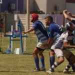 DSC01537_redimensionar
