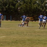 DSC01540_redimensionar