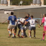DSC01549_redimensionar