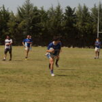 DSC01552_redimensionar