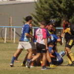 DSC01573_redimensionar