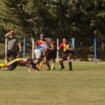 DSC01581_redimensionar