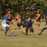 DSC01585_redimensionar