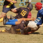 DSC01595_redimensionar