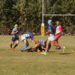 DSC01643_redimensionar