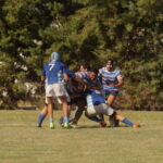 DSC01650_redimensionar