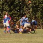 DSC01652_redimensionar